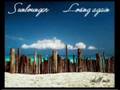 Sunlounger - Losing Again