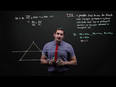 Teorema fundamentală a asemănării