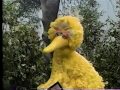 Sesame Street Abelardo Visits