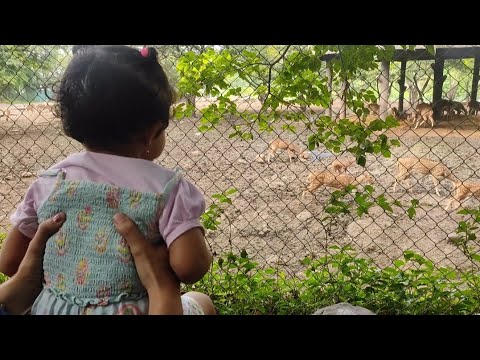 This is how she had Fun At Snake Park and Zoo #vlog6