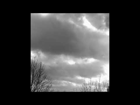 91. The Virus and Antidote - IWillNeverChange (ft. TELARAN) [08.02.2019]