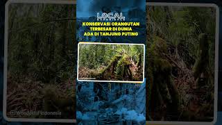 Tak Cuma Orangutan, Tanjung Puting Jadi Rumah Satwa Endemik Dilindungi! Wajib Jadi Tujuan Rekreasi