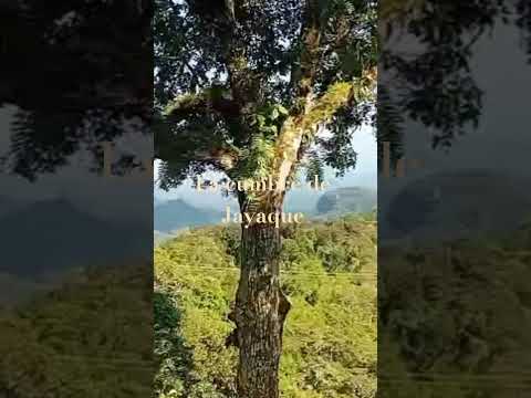 La cumbre de Jayaque, sector de Marina Cumbre.La Libertad,  El Salvador.