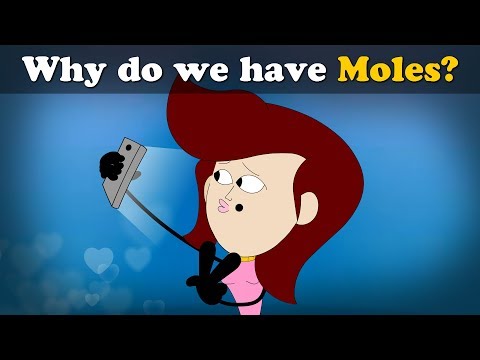 Why do we have Moles? | #aumsum