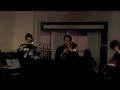 Bird Fly Yellow Improvisation The Slow One