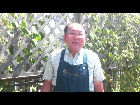 園芸 蔓葉トケイソウ 赤いトケイソウ、赤いザクロ