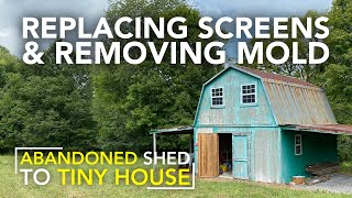 Replacing Screens and Removing Mold & Wood Stains