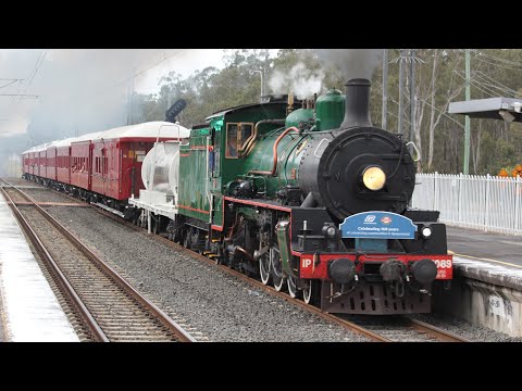 Rosewood line action Saturday July 26th