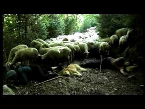 Trailer Película El somni / El sueño / Le rêve / A dream de Christophe Farnarier