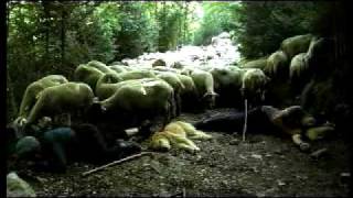 Trailer Película El somni  /  El sueño  /  Le rêve  /  A  dream  de  Christophe  Farnarier