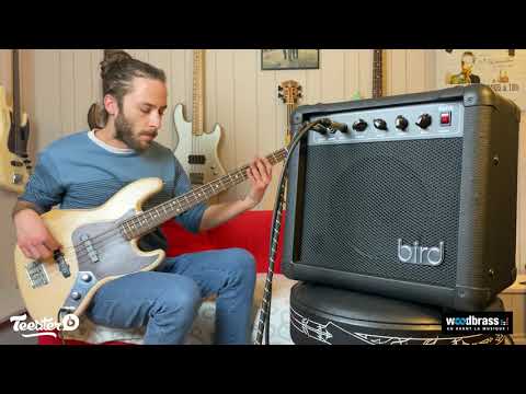 BIRD INSTRUMENTS BA620 - COMBO - Test & Avis d'un client Woodbrass