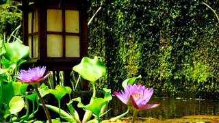 Wenn Er Nachts Piano Spielt - Claudia Jung