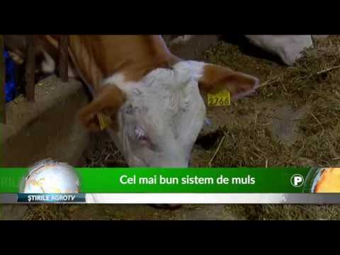 Cel mai bun sistem de muls 21 10 2019