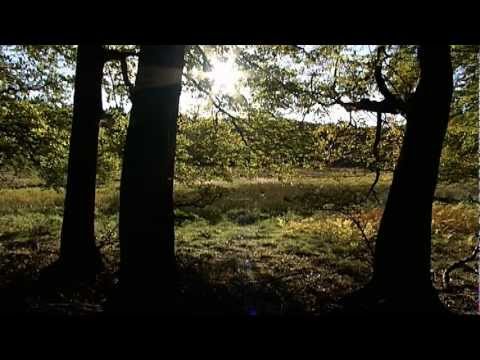 德國的世界遺產 (World Heritage Sites in Germany)