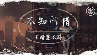 Cover art for 王靖雯不胖 - 不知所措【動態歌詞】「最燦爛的煙火總是先墜落 越是暖的經過反而越折磨」♪