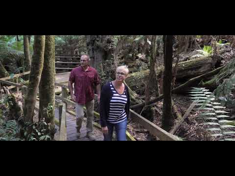 Wirrawilla Rainforest Walk