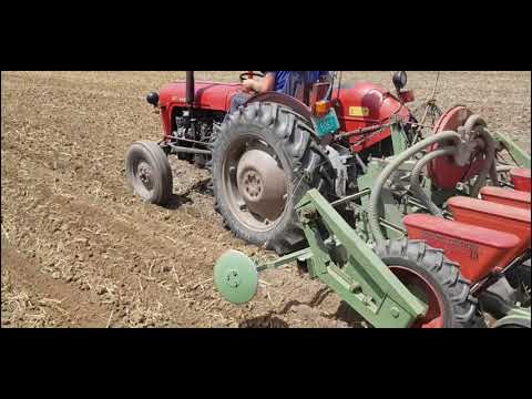 Postrna Setva Soje 26.06.2021. | IMT 533 i Nodet 5r | sowing soybeans 26.06.2021