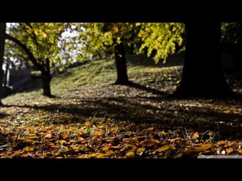 DubVision vs. Steve Angello & Mako vs. SHM - Turn It Around vs. COTW vs. DYWC (Marco Fazzini Mashup)