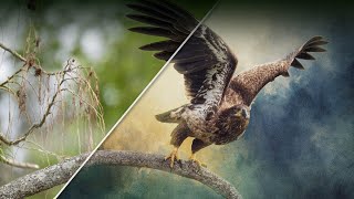 The Photoshop Technique You Didn't Know You Wanted