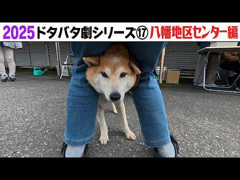 2025狂犬病予防注射会場のドタバタ劇⑰ 八幡地区センター編