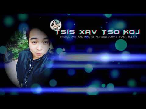 Hwj Chim Tsab- Tsis Xav Tso COVER (AUDIO)