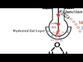 How A PH Meter Works