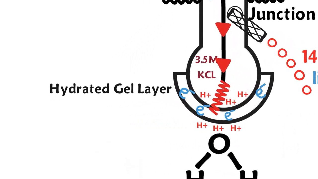 How a pH meter works!