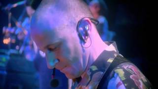 Peter Gabriel - Kiss That Frog - Secret World Live