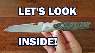 Small Details Look Inside a Brown Knives Cortex!