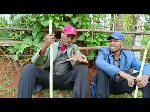 Kipchomosnet by Sweestar