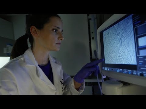 Clara Peek's Lab: Studying Circadian Rhythms