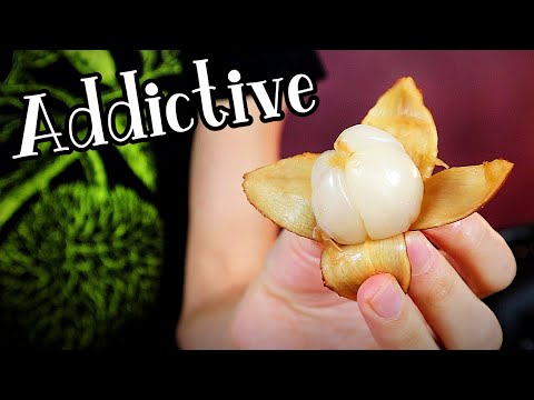 MAIL ORDER LANGSATS - Trying one of my favorite fruits again after 5 years - Weird Fruit Explorer