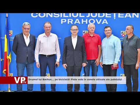 Drumul lui Bachus… pe bicicletă! Piste velo în zonele viticole ale județului