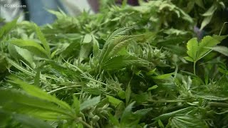 RISE Dispensary in Branford kicks off selling recreational marijuana