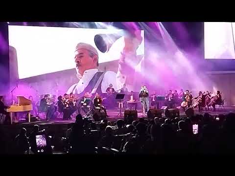 سلار عقیلی 1404 salar aghili