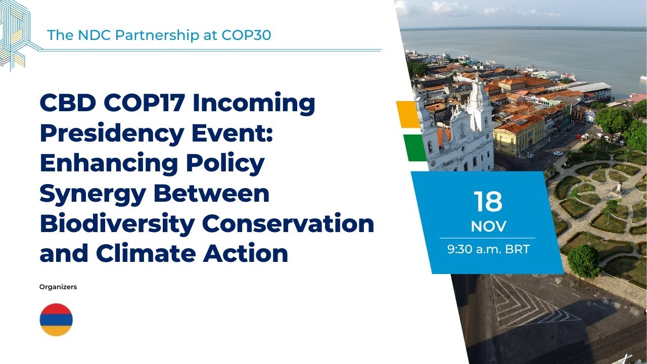 Enhancing Policy Synergy Between Biodiversity Conservation and Climate Action
