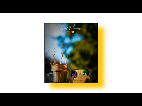 new trending whatsapp status video download new trending whatsapp status video download sharechat