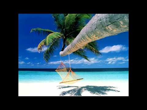 Jonas The Plugexpert - kontje (2002)