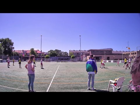 Die Haghe C2 - IJsselvogels C1