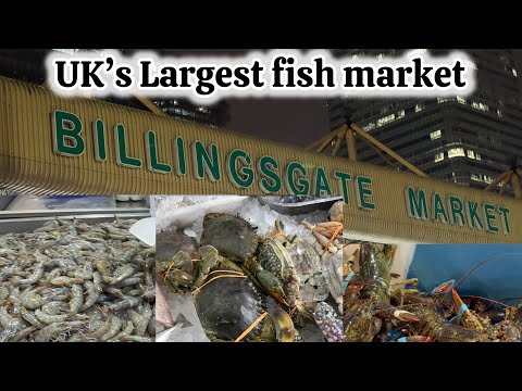 Uk’s largest fish market || BillingsGate fish Market London || @rameshvarimeghji9838