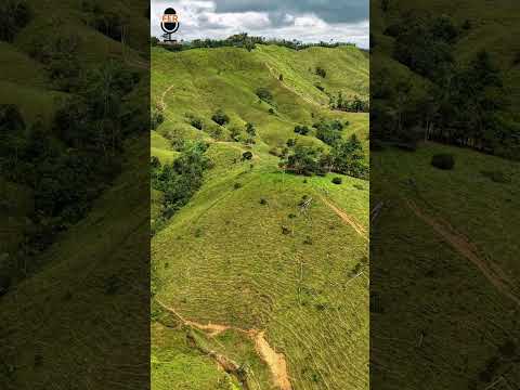 Nordeste de Antioquia. Municipio Remedios, vereda Santa Marta 