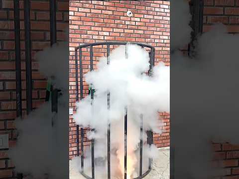 Chor bhage jail se 😂😉||zoya sheikh #shorts #youtube #zoyasheikh