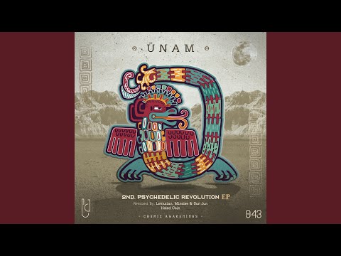 2nd. Psychedelic Revolution