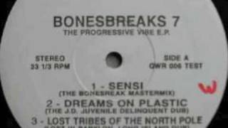 FRANKIE BONES - "Dreams On Plastic"