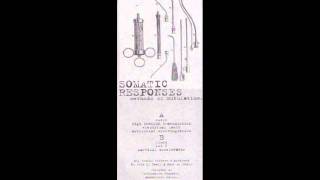 Somatic Responses -- Lot 6.wmv