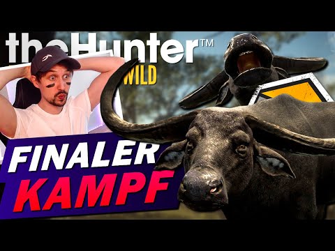 Showdown an der Küste! the Hunter Call of the Wild Wasserbüffel