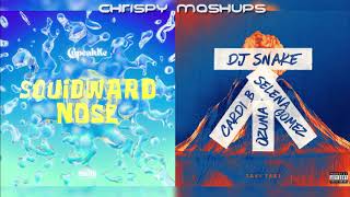 CupcakKe &amp; DJ Snake - Squidward Nose / Taki Taki (Mashup)