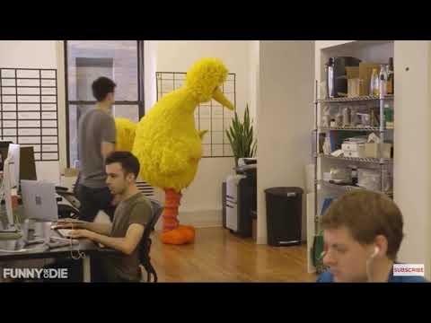 Big Bird Visits Funny Or Die