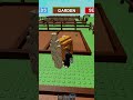 Opening 6 BUG EGGS In Grow A Garden Roblox Shorts Growagarden Robloxshorts