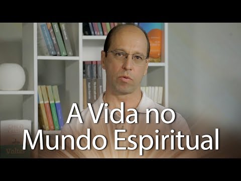 Livros que Iluminam Indica - Livro A Vida no Mundo Espiritual
